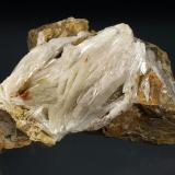Celestina
La Granja d&rsquo;Escarp, Segrià, Lleida, Cataluña, España.
10,0x13,8x8,3 cm.
Cristales aplanados blancos en matriz.
MGB 4821
Col. Real Academia de Ciencias y Artes de Barcelona
Foto: Joan Rosell Riba (Autor: Carles Curto)
