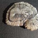 Pirita
Mina Sparta, Randolph County, Illinois, USA
5 x 6 cm. (Autor: javier ruiz martin)