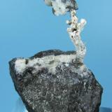 Plata nativa
Mina Huantajalla, al sureste de la zona de Uchucchacua, Oyón, Lima, Perú
77 mm de altura x 45 mm de anchura (longitud del cristal &gt;44 mm) (Autor: Carles Millan)