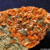 Crocoita
Crocoite Mine, Montes Uspenskaya, Berezovsk, Urales (Rusia)
Tamaño de la pieza 8,5 x 5 x 1,5 cm.  
Encuadre 5 x 4 cm. aprox.  
Cristal mayor 0,7 cm. (Autor: Frederic Varela)