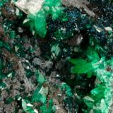 Keyite (bluish crystals), Schultenite (clear green crystals), Cuproadamite (darker green crystals) 
Tsumeb, Namibia
Size: Miniature
Keyite structure type

Specimen: William Pinch Collection
Photo: Jeff Scovil & The RRUFF Project (Author: Pinch Bill)