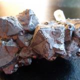 Galena con Calcita y otros
Joplin, Jasper County, Missouri, USA
7 x 4 cm. (Autor: javier ruiz martin)
