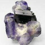 Ferberita con Fluorita, Cuarzo y Pirita
Mina Yaogangxian, Yizhang, Chenzhou, Hunan, China
Encontrada en 2002
Tamaño de la pieza: 4.8 × 3.6 × 2.8 cm.
El cristal más grande mide: 1.7 × 1.4 cm.
Ex colección Silvane
Foto: Minerales de Referencia (Autor: Jordi Fabre)