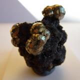 Pirita en GalenaWest Fork Mine, West Fork, Viburnum Trend District, Reynolds County, Missouri, USA5 x 3 cm. (Autor: javier ruiz martin)