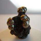 Pirita en GalenaWest Fork Mine, West Fork, Viburnum Trend District, Reynolds County, Missouri, USA5 x 3 cm. (Autor: javier ruiz martin)
