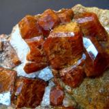 Grossular var. Hessonite.
Žulová, Olomouc Region, Moravia, Czech Republic.
105 x 95 x 50 mm, largest crystal 20 mm. (Author: Tobi)