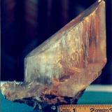 Yeso
Mineral de Naica, Saucillo, Chihuahua, México
17 cm (Autor: Marco A. Ramìrez Lara)