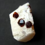 Spessartine on albite
Shigar Valley, Gilgit-Baltistan, Pakistan
27 x 18 x 13 mm, largest crystal 5 mm. (Author: Tobi)