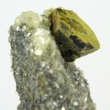 Kësterita, mushistonita, mica
Mt Xuebaoding, Pingwu, Mianyang, Sichuan, China
60 mm x 45 mm (Autor: Carles Millan)