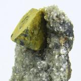 Kësterita, mushistonita, mica
Mt Xuebaoding, Pingwu, Mianyang, Sichuan, China
60 mm x 45 mm (Autor: Carles Millan)