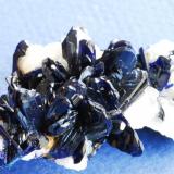 Azurita
Touissit, Oujda, Marruecos
5x3 cm (Autor: E. Llorens)