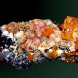 Wulfenita
Tiger, Pinal Co., Arizona, EUA. Mammoth (m).
4,6x3,1x2,1cm. / 0,9x0,8x0,2 cm. (cristal pral.)
Cristales laminare de color naranja en matriz.0,8 x 0,2 cm.
Ejemplar de 1975
MINDAT ID: 191087 (Autor: Carles Curto)