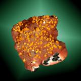 Wulfenita
Whim Creek, Roebourne, Pilbara (reg.), Western Australia, Australia. Whim Creek (m).
3,3x3,4x2,2 cm. / 0,3x0,2x0,2 cm. (cristal pral.)
Cristales bipiramidales, de color naranja en matriz de goethita botrioidal.
Ejemplar de 2008 procedente de la colección Silvane
MINDAT ID: 218272 (Autor: Carles Curto)