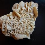 CalcitaCogeces de Íscar, Comarca Tierra de Pinares, Valladolid, Castile and León, Spain7 x 6 cm. (Autor: javier ruiz martin)
