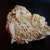 CalcitaCogeces de Íscar, Comarca Tierra de Pinares, Valladolid, Castile and León, Spain7 x 6 cm. (Autor: javier ruiz martin)