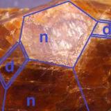 Andradita-Grosularia serie
Alpine mine, Nightingale District, Pershing Co., Nevada, EEUU
Ampliación digital de la foto anterior. Trapezoedro {211}, rombododecaedro {110} y posible hexaquisoctaedro {321} (Autor: Antonio Alcaide)