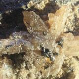 Cerusita
Mina San Rafael (nº 2444)-Escombrera del Pozo "San Rafael", Cardeña, Córdoba, Andalucía, España
Cristal de 1,5 cm de longitud (Autor: Inma)