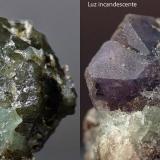 Alejandrita sobre matriz de esmeralda
A Franqueira, Pontevedra, Galicia, España
6,5mm.
Muestra del cambio de color de la alejandrita segun el tipo de iluminación (Autor: Javier MC)