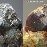Alejandrita sobre matriz de esmeralda.
A Franqueira, Pontevedra, Galicia, España.
8,8mm.
Comparativa del cambio de tonalidad de la alejandrita con distinta iluminación. (Autor: Javier MC)