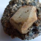 Ortoclasa en porfidoZarzalejo, Comarca Sierra Oeste, Community of Madrid, Spain3,5 cm. (Autor: javier ruiz martin)