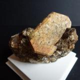 Ortoclasa en porfidoZarzalejo, Comarca Sierra Oeste, Community of Madrid, Spain5 cm. (Autor: javier ruiz martin)