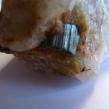 Rutilo en Cuarzo<br />Robregordo, Comarca Sierra Norte, Comunidad de Madrid, España<br />0,5 cm.<br /> (Autor: javier ruiz martin)