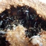 GoethitaGoethite outcrop, Tordelrábano, Comarca Sierra Norte de Guadalajara, Guadalajara, Castilla-La Mancha, Spain5 x 5 cm. (Autor: javier ruiz martin)
