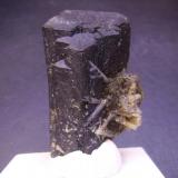 Ilvaíta
Huanggang Mine, Hexigten Banner, Chifeng, Inner Mongolia, China
7 x 4 x 4 cm.
Grupo de cristales de crecimiento paralelo y terminación policristalina. Con pequeños cristales de cuarzo  y hedenbergita fibrosa apreciable en la parte derecha (Autor: Antonio Alcaide)