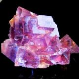 Fluorite
St. Christoph am Arlberg, Tirol, Austria
7 x 5 x 3 cm (Author: Leon56)