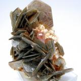 Fluorapatite, albite, muscovite
Chumar Bakhoor, Hunza Valley, Gilgit District, Gilgit-Baltistan, Pakistan
106 mm x 81 mm. Main apatite crystal: 10.5 mm wide (Author: Carles Millan)