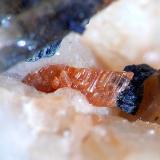 Chamosita, Albita<br />Cantera Cillarga, Linar da Raina, Ponteareas, Comarca El Condado, Pontevedra, Galicia / Galiza, España<br />1,5mm<br /> (Autor: Javier MC)