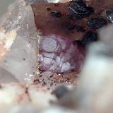 Fluorita<br />Cantera Cillarga, Linar da Raina, Ponteareas, Comarca El Condado, Pontevedra, Galicia / Galiza, España<br />Sobre 2,5mm<br /> (Autor: Javier MC)