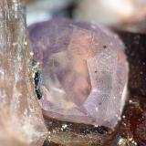 Fluorita<br />Cantera Cillarga, Linar da Raina, Ponteareas, Comarca El Condado, Pontevedra, Galicia / Galiza, España<br />Cristal sobre 3mm<br /> (Autor: Javier MC)