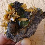 Galena, Mimetite, Wulfenite and Goethite.
Mapimí, Durango, Mexico.
8cms x 7 cms . (Author: javmex2)