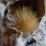 AragonitoLa Serna Quarry (La Tinaja Quarry), La Serna, Pantoja, Comarca La Sagra, Toledo, Castilla-La Mancha, Spain3 x 2 cm. el Aragonito (Autor: javier ruiz martin)