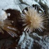 AragonitoLa Serna Quarry (La Tinaja Quarry), La Serna, Pantoja, Comarca La Sagra, Toledo, Castilla-La Mancha, Spain1,5 cm. de diametro cada Aragonito (Autor: javier ruiz martin)