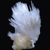 Powellite, scolecite
Yeola, Nasik District, Maharashtra, India
108 mm x 75 mm (Author: Carles Millan)