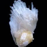 Powellite, scolecite
Yeola, Nasik District, Maharashtra, India
108 mm x 75 mm

Mindat.org Photo of the Day - 21st Apr 2012 (Author: Carles Millan)