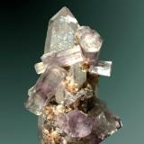 Fluorapatito
Panasqueira, Covilha (mun.), Castelo Branco (dist.), Beira Baixa, Portugal.
5,7x3,2x3,0 cm. / 1,4x1,1x1,0 cm. (cristal pral.)
Cristales prismáticos violetas, con zonación del color, de mayor intensidad en la zona central del cristals, la mayoría biterminados e implantados en un cristal de cuarzo.
Ejemplar de 1984 (Autor: Carles Curto)