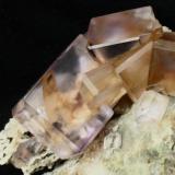 Fluorita
Cantera Llamas, Duyos, Asturias, España
Grupo de cristales de 1,5 cm. cada uno. (Autor: Laureano)