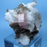 Fluorapatite, albite, quartz, mica
Shigar Valley, Skardu District, Baltistan, Gilgit-Baltistan, Pakistan
65 mm x 47 mm (Author: Carles Millan)