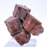 Copper
San Agustín Mine, Corocoro, Pacajes Province, La Paz Department, Bolivia
54 mm x 49 mm x 26 mm (Author: Carles Millan)