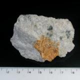 Stilbite in quartz
Maryland Materials quarry, Cecil Co., Maryland, USA
6 cm across (Author: John S. White)