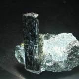 Schorl in schist
Maryland Materials quarry, Cecil Co., Maryland, USA
The crystal is 6 cm tall (Author: John S. White)