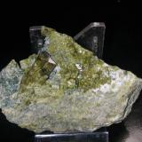 Epidote
Maryland Materials quarry, North East, Cecil Co., Maryland, USA
8 cm across (Author: John S. White)