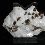Dravite in marble
Texas quarry, Baltimore Co., Maryland, USA
6 cm across (Author: John S. White)