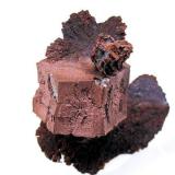 Copper
San Agustín Mine, Corocoro, Pacajes Province, La Paz Department, Bolivia
38 mm x 35 mm (Author: Carles Millan)