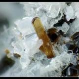 Vesuvianite
Felskinn, Saas Fee, Switzerland
FOV 3  mm (Author: ploum)