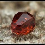 Spessartine
East Grants Ridge, Cibola Co., New Mexico, USA
FOV 2.8 mm (Author: ploum)