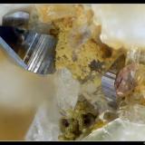 Anatase and monazite
Madeleine pass, Savoie, France
FOV 2 mm (Author: ploum)